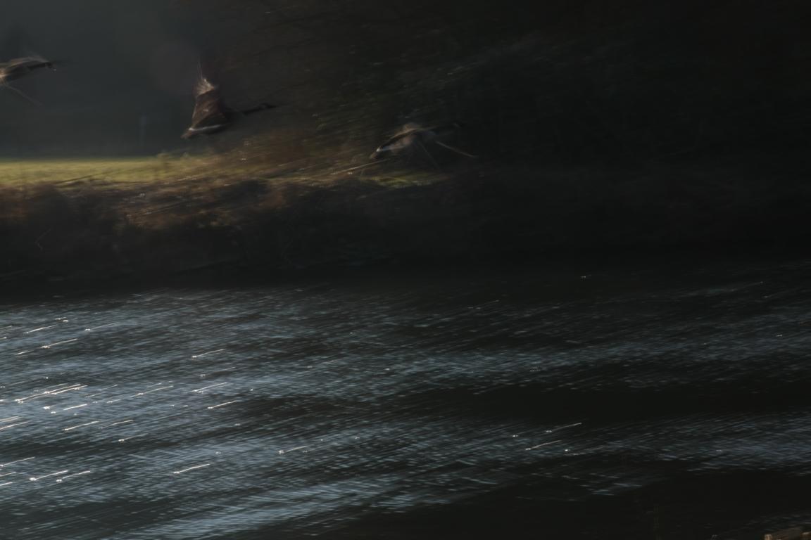 P 17
