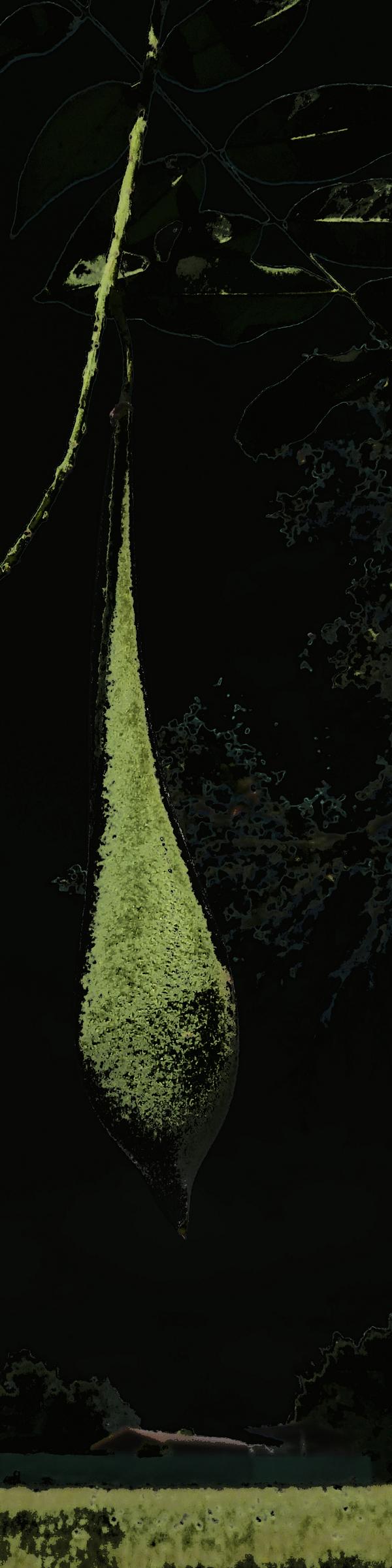 Kr 6